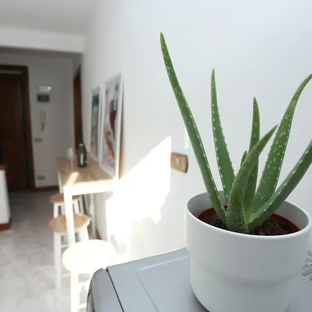 Blue Vatican House * Rome